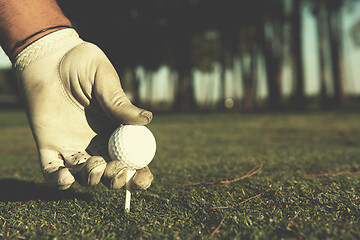 Image showing close up of golf players hand placing ball on tee