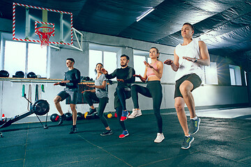 Image showing Shot of young men and a woman standing in plank position at the gym