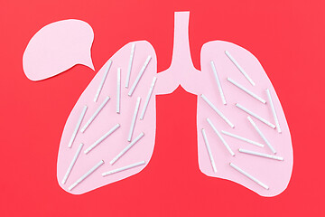 Image showing Lungs and cigarettes. The concept of harm