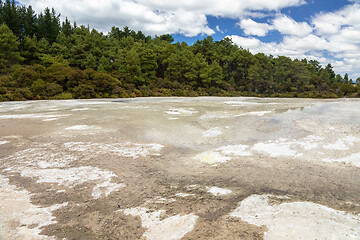 Image showing geothermal activity at Rotorua in New Zealand