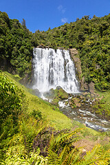 Image showing marokopa falls