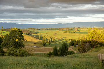 Image showing typical rural landscape in New Zealand