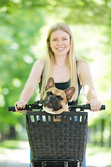 Image showing French bulldog dog enjoying riding in bycicle basket in city park