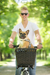 Image showing French bulldog dog enjoying riding in bycicle basket in city park