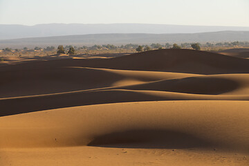 Image showing Big sand dunes in Sahara desert