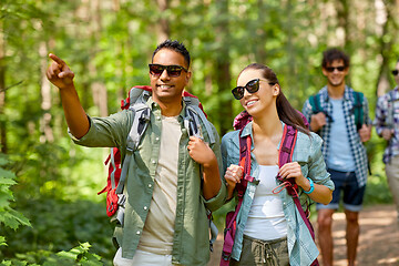 Image showing group of friends with backpacks hiking in forest