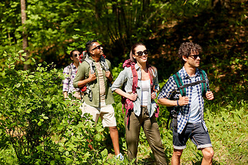 Image showing group of friends with backpacks hiking in forest