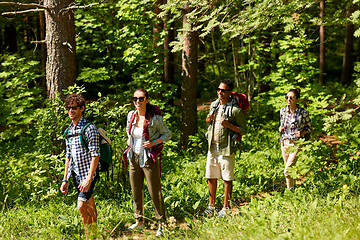 Image showing group of friends with backpacks hiking in forest