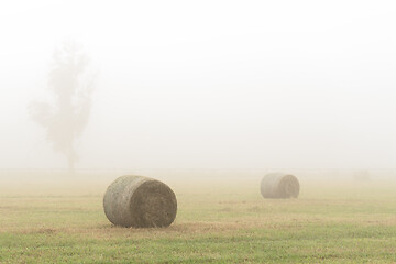 Image showing Hay bales in a foggy field in country NSW Australia