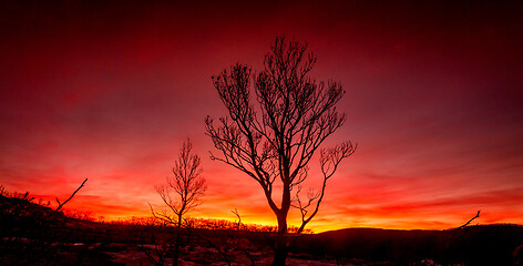 Image showing Red sunset on a burnt landscape