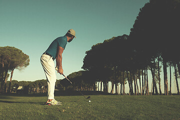 Image showing golf player