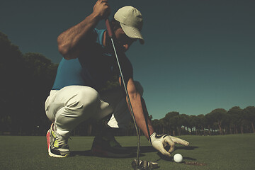 Image showing man\'s hand putting golf ball in hole