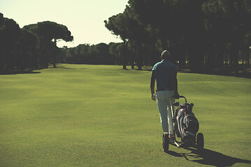 Image showing golf player walking with wheel bag