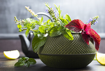 Image showing teapot and herb