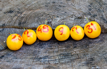 Image showing lottery plums on wood