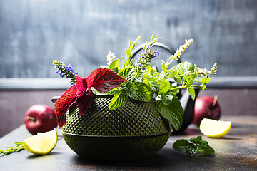 Image showing teapot and herb