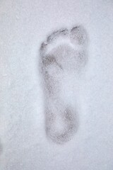 Image showing Footprint barefoot in snow