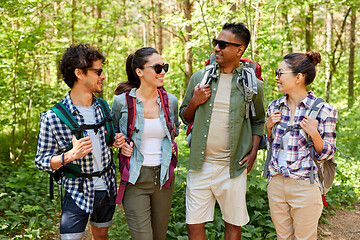 Image showing friends with backpacks on hike talking in forest