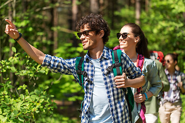 Image showing group of friends with backpacks hiking in forest