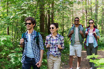 Image showing group of friends with backpacks hiking in forest