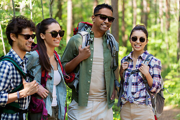 Image showing group of friends with backpacks hiking in forest