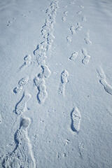 Image showing Fresh snow with morning sunlight with foot prints