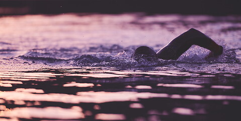Image showing triathlon athlete swimming on lake in sunrise wearing wetsuit