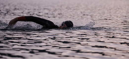 Image showing triathlon athlete swimming on lake in sunrise wearing wetsuit