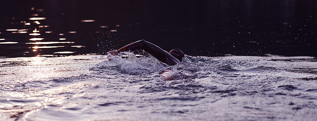 Image showing triathlon athlete swimming on lake in sunrise wearing wetsuit