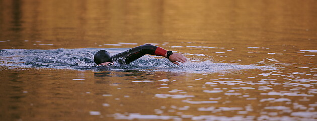 Image showing triathlon athlete swimming on lake in sunrise wearing wetsuit