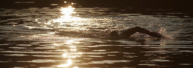 Image showing triathlon athlete swimming on lake in sunrise wearing wetsuit