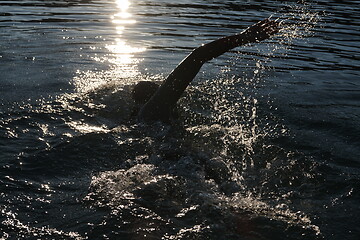 Image showing triathlon athlete swimming on lake in sunrise wearing wetsuit