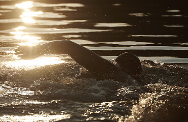 Image showing triathlon athlete swimming on lake in sunrise wearing wetsuit