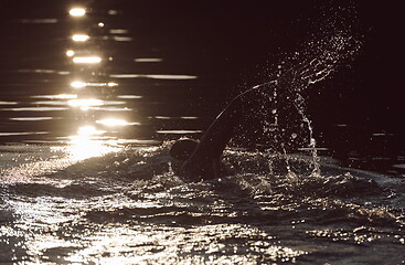 Image showing triathlon athlete swimming on lake in sunrise wearing wetsuit