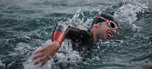 Image showing triathlon athlete swimming on lake in sunrise wearing wetsuit