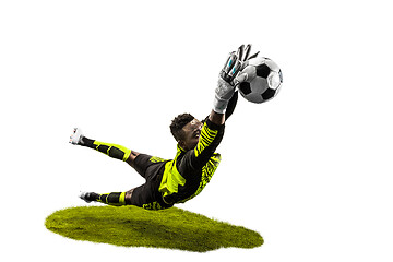 Image showing One soccer player goalkeeper man catching ball