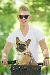 Image showing French bulldog dog enjoying riding in bycicle basket in city park