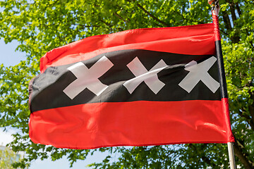 Image showing Amsterdam City Flag