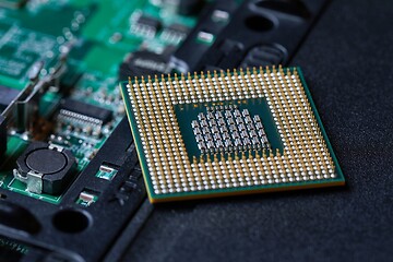 Image showing Holding a CPU