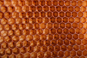 Image showing honey background