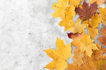 Image showing dry fallen autumn maple leaves on grey stone