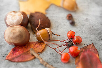 Image showing chestnuts, acorn, autumn leaves and rowanberries