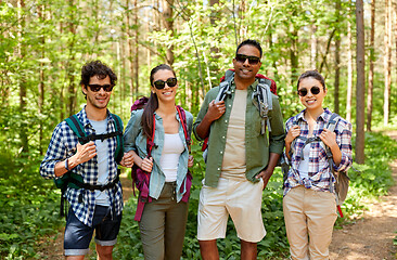 Image showing friends with backpacks on hike in forest