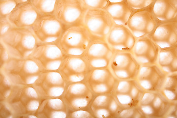 Image showing honey background