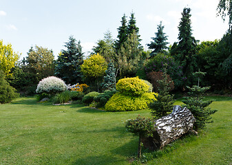 Image showing colorful spring garden