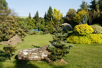 Image showing colorful spring garden