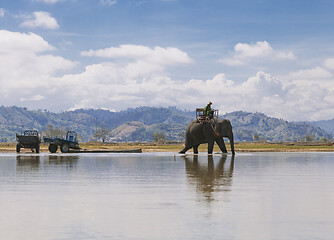 Image showing Elephant rider in Vietnam