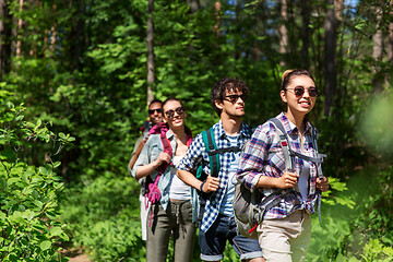 Image showing group of friends with backpacks hiking in forest