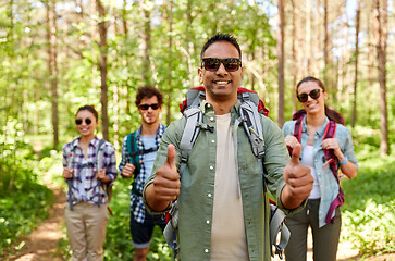 Image showing friends with backpacks showing thumbs up in forest