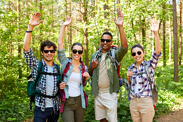 Image showing group of friends with backpacks hiking in forest